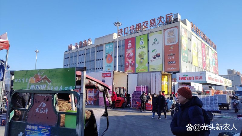 商贸批发公司的常见误区：避免不必要的陷阱